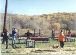 vincerambaladogtraining.com Rambala