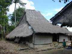 whereisevan.com Rambitan