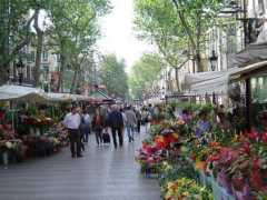 habitatapartments.com Ramblas