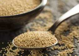 food.ndtv.com Ramdana