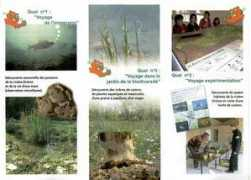 grane.org Ramieres