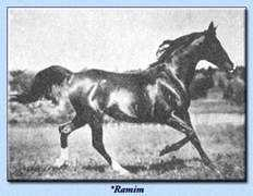 Ramim