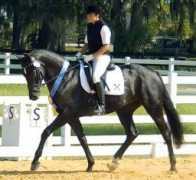 homeagainfarm.com Ramina
