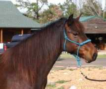 romancevalleyrockies.com Ramlin