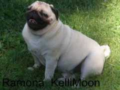 koirat.com Ramona