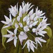 silkartist.co.uk Ramsons