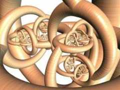 sprott.physics.wisc.edu Rancov