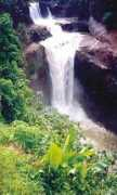 hotels.samsantravels.com Randha