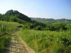 panoramio.com Ranello
