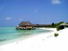 patentisland.com Rangari