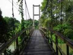 todaytourism.com Rangson
