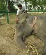 Rangu