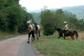 coutillas-endurance.com Rannick