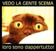 baronerosso.it Ranox