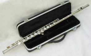 filomusica.com Ransanz