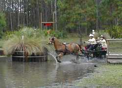 Ransco