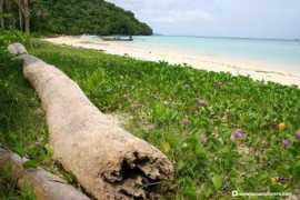 asiaexplorers.com Rantee