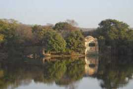 panoramio.com Ranthambore