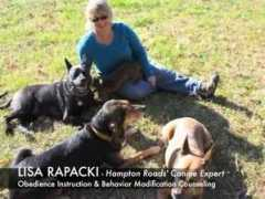 Rapacki