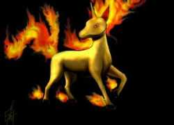 ratemydrawings.com Rapidash
