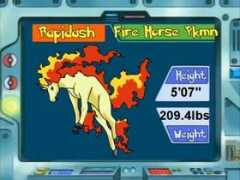 serebii.net Rapidash
