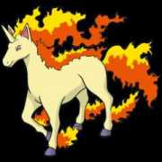 veekun.com Rapidash