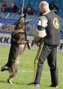 hondensport.com Rapila