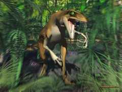 visualparadox.com Raptors