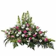 florajet.com Raquette