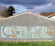 Rase