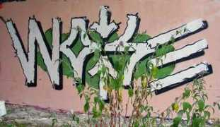 Rase