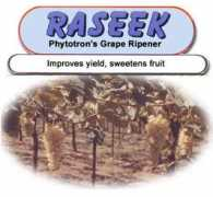 Raseek