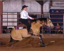 katonareininghorses.com Raseman