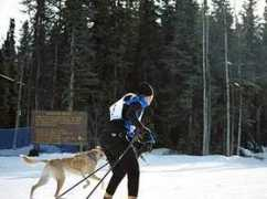 sleddogstudio.com Rasey