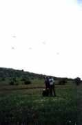 escaners.info Rasnik
