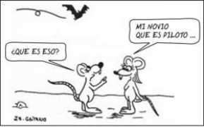 Ratitas