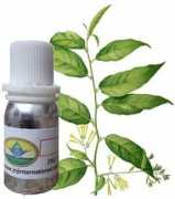 essentialoilandperfumeoil.com Ratrani