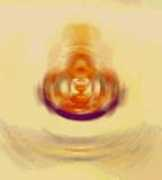 rgjnetwork.ku.ac.th Rattinan