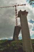 Rauze