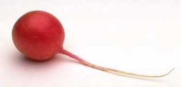 fruttilandia.com Ravanell