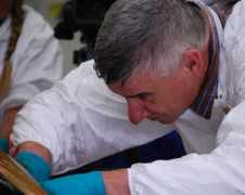 newswire.co.nz Raverty