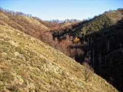 Ravna