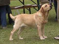 port.of.nessie.retriever.hu Ravonne