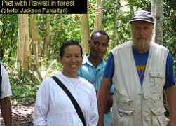 papua-insects.nl Rawati