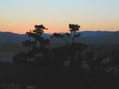novelmusic.com Rawfood