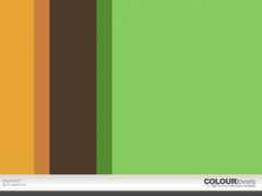 colourlovers.com Raychie