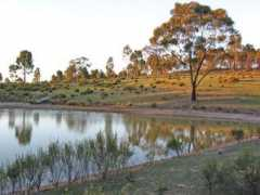 raydon.com.au Raydon