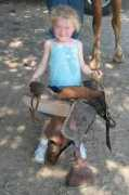 fairplayhorse.com Rayeanne