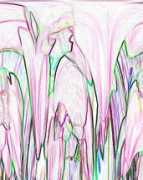 Rayed