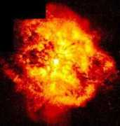 Rayet